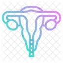 Uterus  Icon