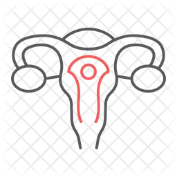 Uterus  Icon