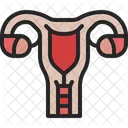 Uterus Reproductive System Icon