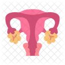 Uterus Ovaries Organ Icon