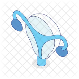 Uterus  Icon