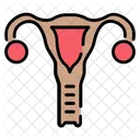 Uterus Medical Gynecology Icon