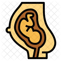 Uterus  Icon