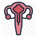 Uterus Human Body Icon