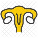 Uterus Female Organ Icon