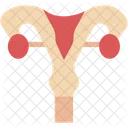 Uterus Womb Reproductive System Icon