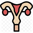 Uterus Womb Reproductive System Icon