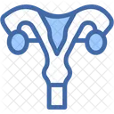 Uterus Womb Reproductive System Symbol
