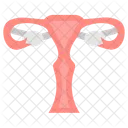 Uterus Womb Female Organs Icon