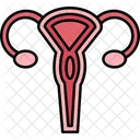 Uterus Medical Female Icon