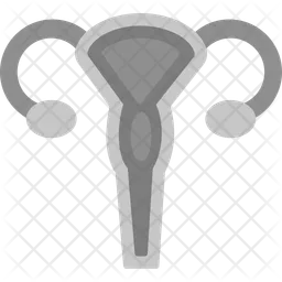 Uterus  Icon