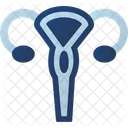 Uterus  Symbol