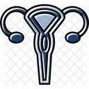 Uterus Icon