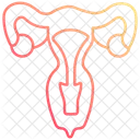 Uterus  Icon