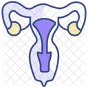 Uterus Icon