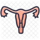 Uterus Human Body Icon
