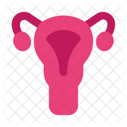 Uterus  Icon