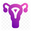 Uterus Ovary Anatomy Icon