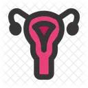 Uterus Ovary Anatomy Icon