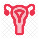 Uterus Ovary Anatomy Icon