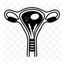Uterus Ovary Cervix Icon