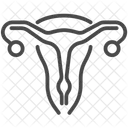 Uterus Vagin Ventre Icône