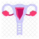 Uterus Ovary Reproductive System Icon