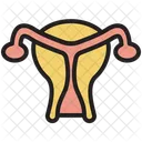 Gynecology Ovary Uterus Icône