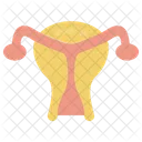Gynecology Ovary Uterus Icône