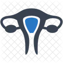 Uterus  Icône