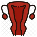 Uterus  Icon