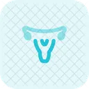 Uterus  Icône