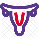 Uterus  Icône