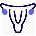 Uterus  Icône