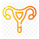 Uterus  Icon