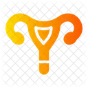Uterus  Icon