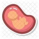 Uterus Belly Abdomen Icon
