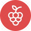 Uva Grappolo Frutta Icon