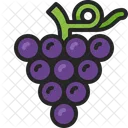 Uva Vinho Fruta Icon