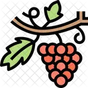 Uva Fruta Cacho Icon