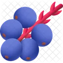 Uva De Oregon Planta Flores Icono