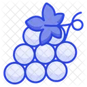 Uvas Sano Fruta Icon