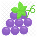 Uvas Sano Fruta Icon