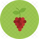 Uvas Uva Fruta Icon