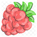 Uvas Sano Fruta Icon