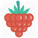 Uvas  Icon