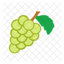 Uvas Viniferas Uvas Ribier Ícone