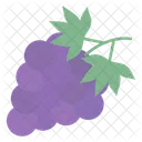 Uvas Afrutado Berry Icono