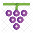 Uvas Deliciosas Frutas Icono