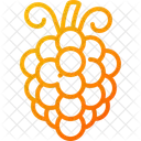 Uvas Uva Organico Icon